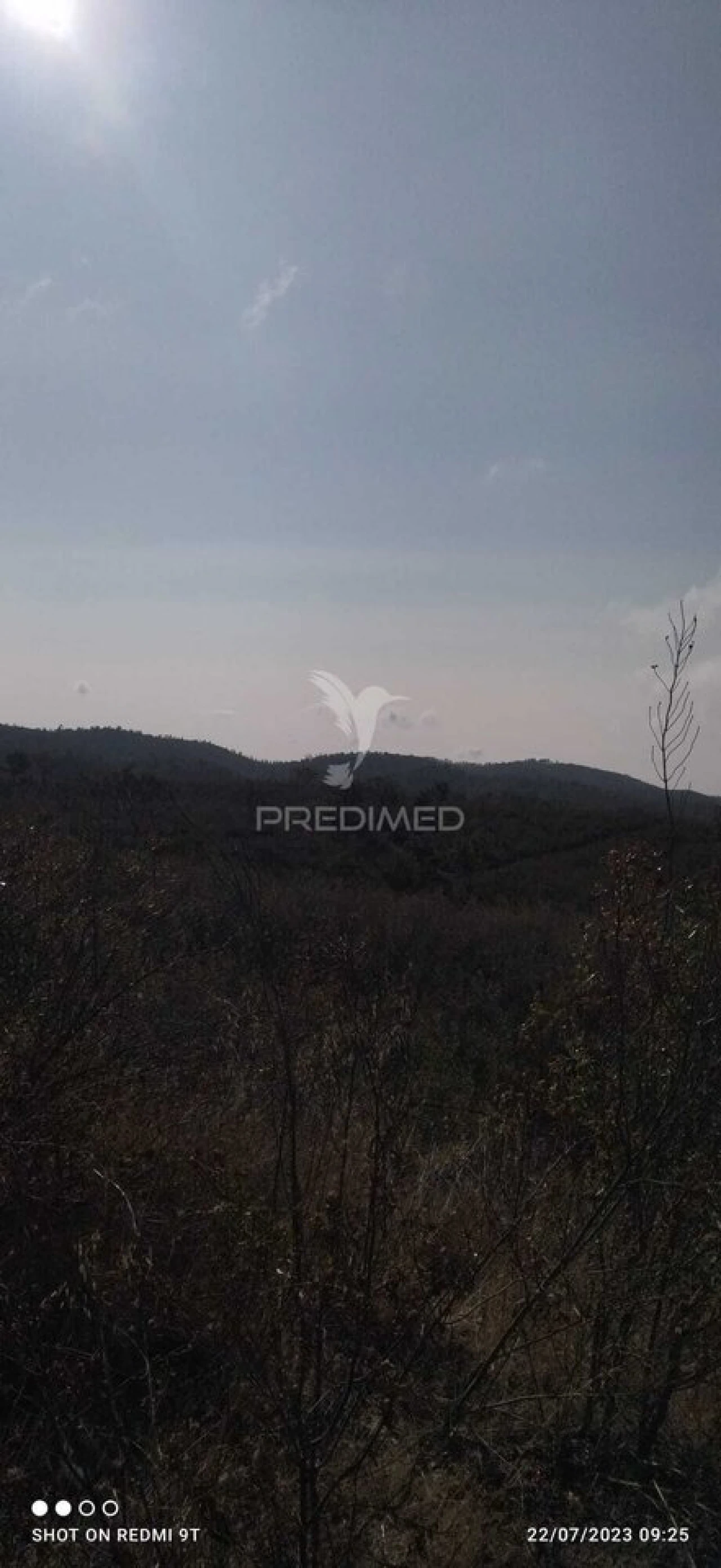 Quinta T0 para Venda em Luzianes-Gare Foto 4