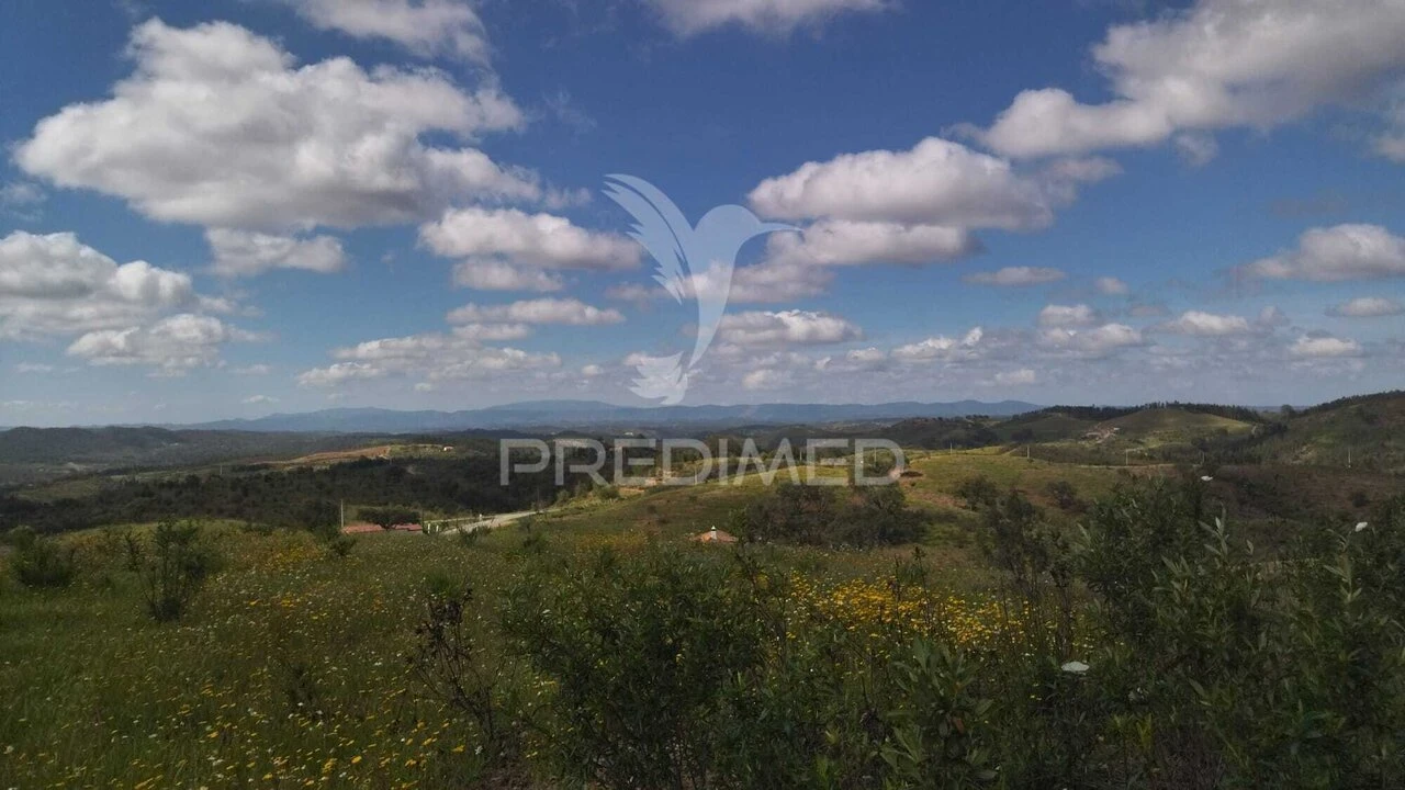 Quinta T0 para Venda em Luzianes-Gare Foto 10