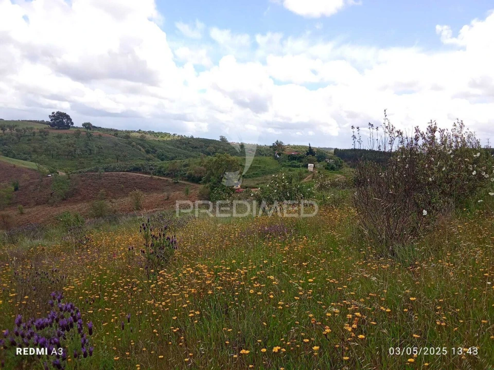 Quinta T0 para Venda em Luzianes-Gare Foto 15