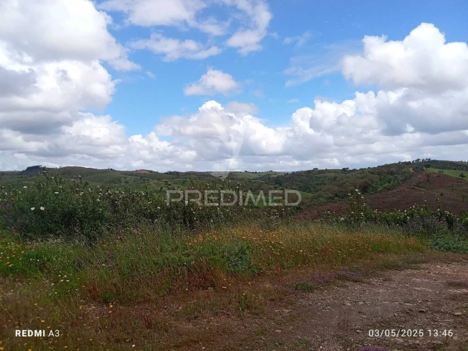 Quinta T0 para Venda em Luzianes-Gare Foto 17