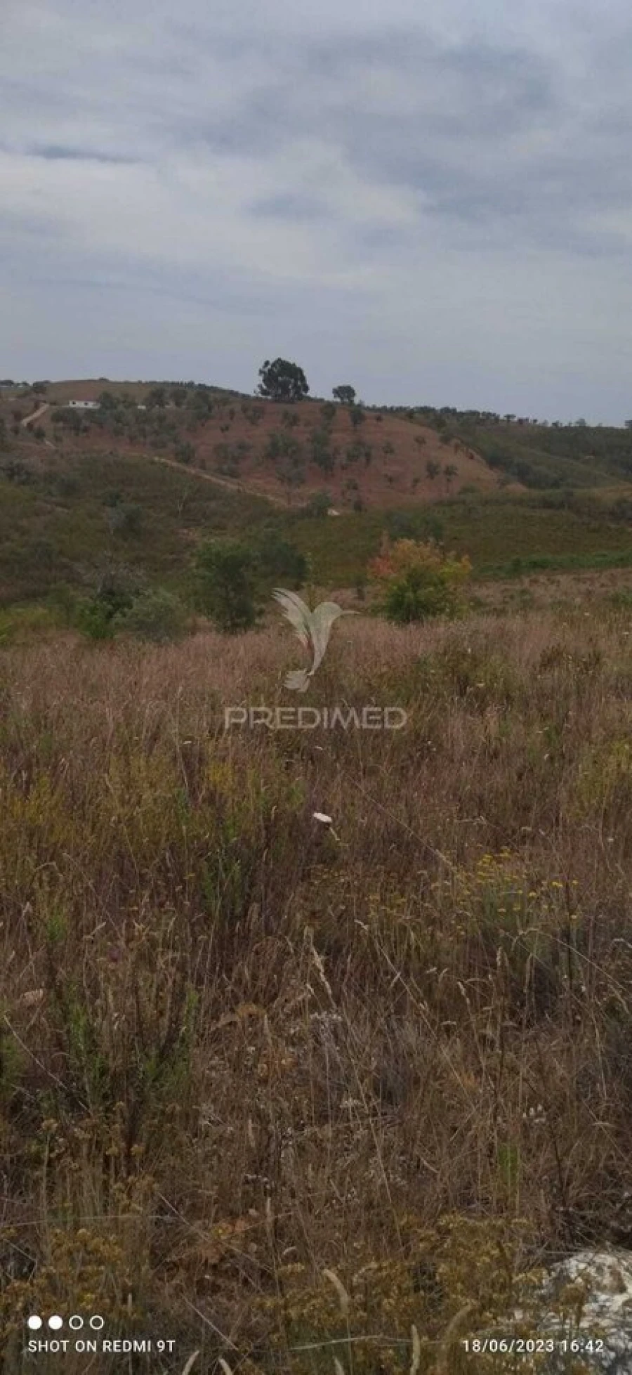 Quinta T0 para Venda em Luzianes-Gare Foto 8