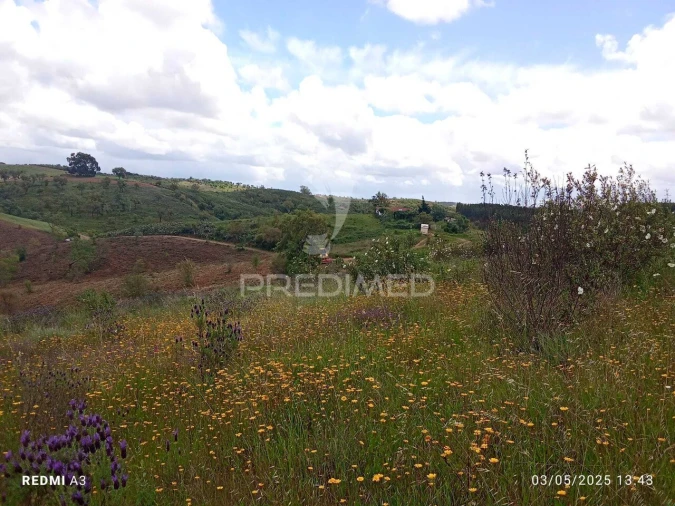 Quinta T0 para Venda em Luzianes-Gare Foto 15