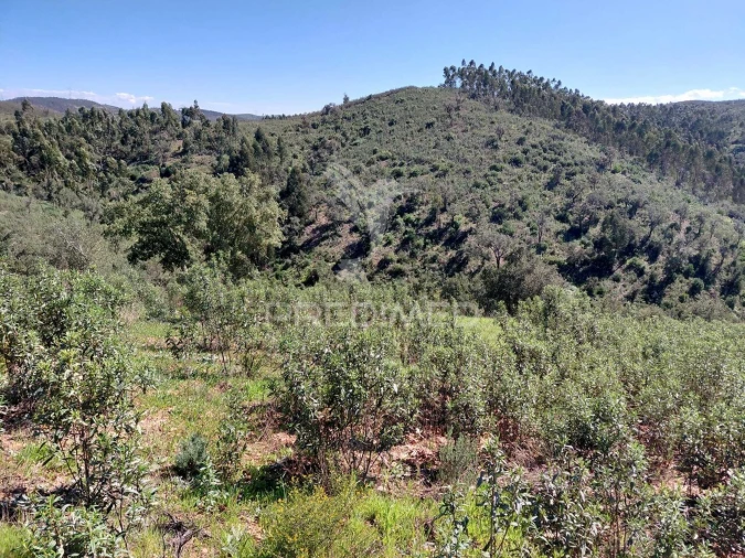 Quinta T0 para Venda em Saboia Foto 6