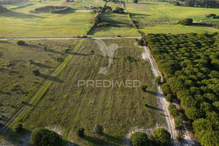 Terreno para Venda em Sines Foto 6