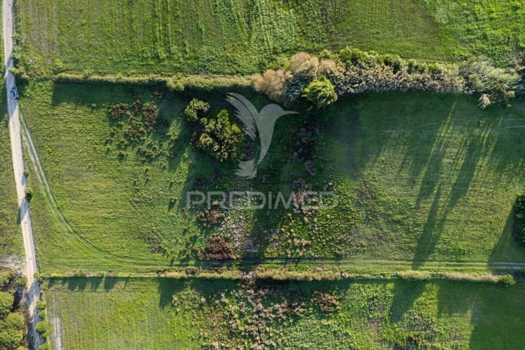 Terreno para Venda em Sines Foto 8