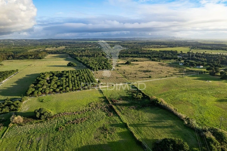 Terreno para Venda em Sines Foto 5