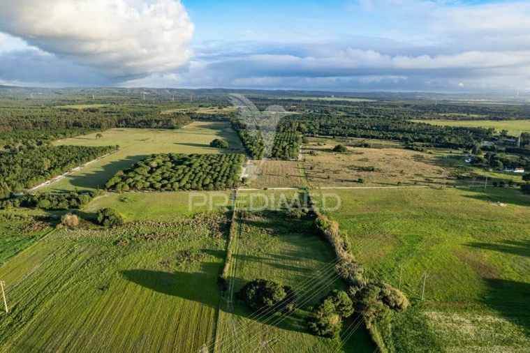 Terreno para Venda em Sines Foto 15