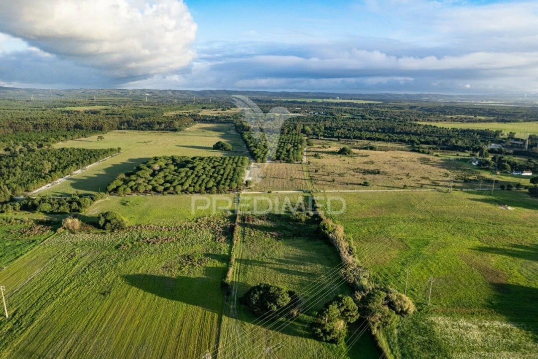 Terreno para Venda em Sines Foto 15