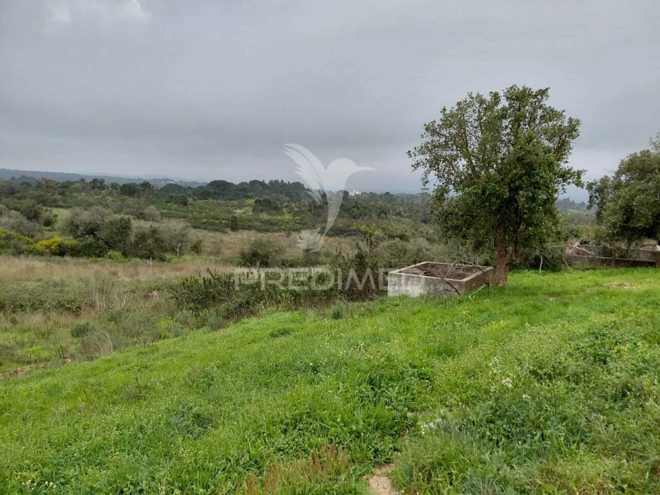 Quinta T2 para Venda em São Francisco da Serra Foto 3