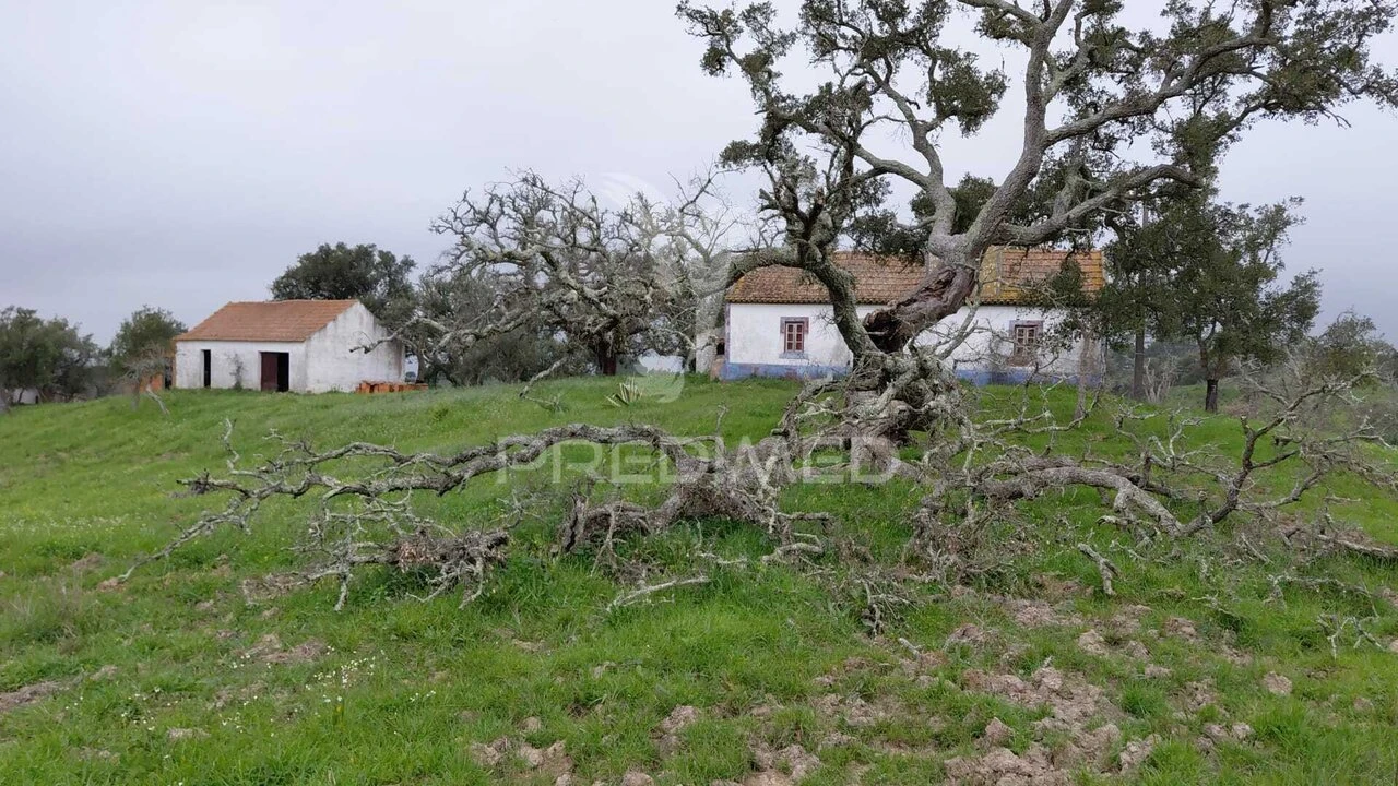 Quinta T2 para Venda em São Francisco da Serra Foto 19