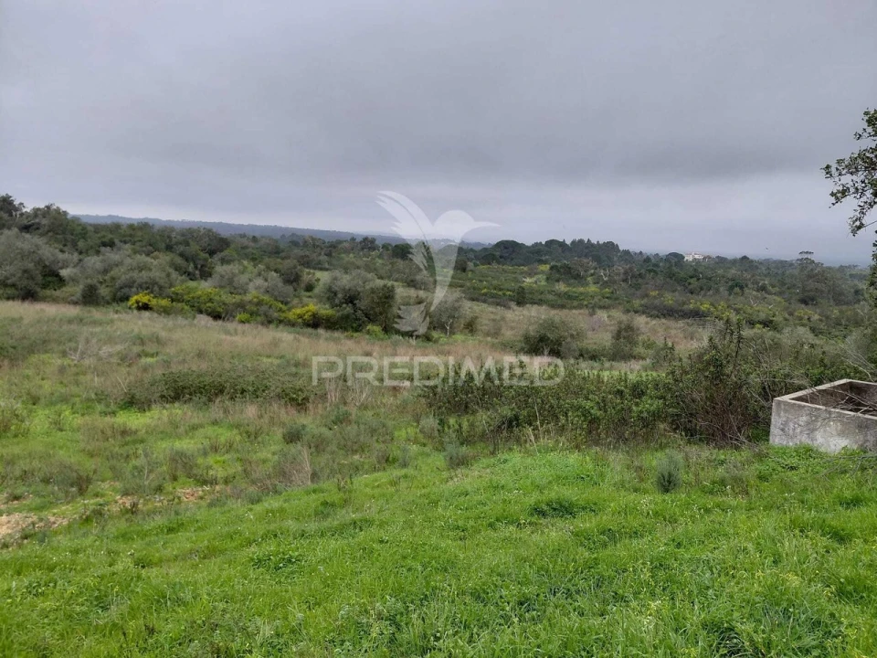 Quinta T2 para Venda em São Francisco da Serra Foto 17