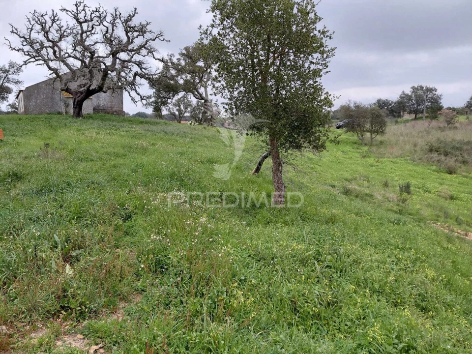 Quinta T2 para Venda em São Francisco da Serra Foto 21