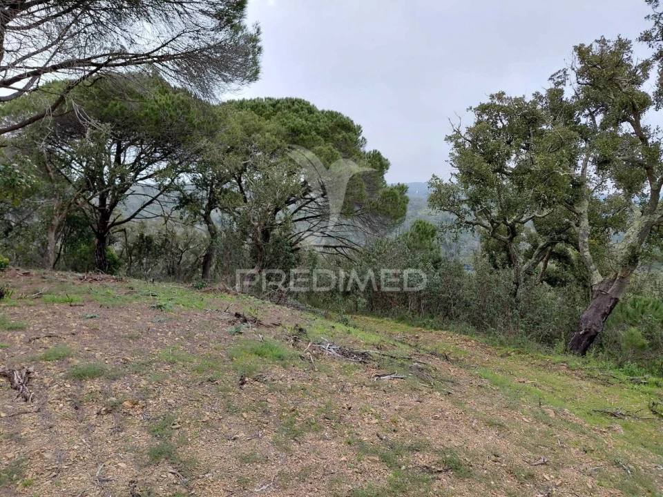 Quinta T2 para Venda em São Francisco da Serra Foto 18