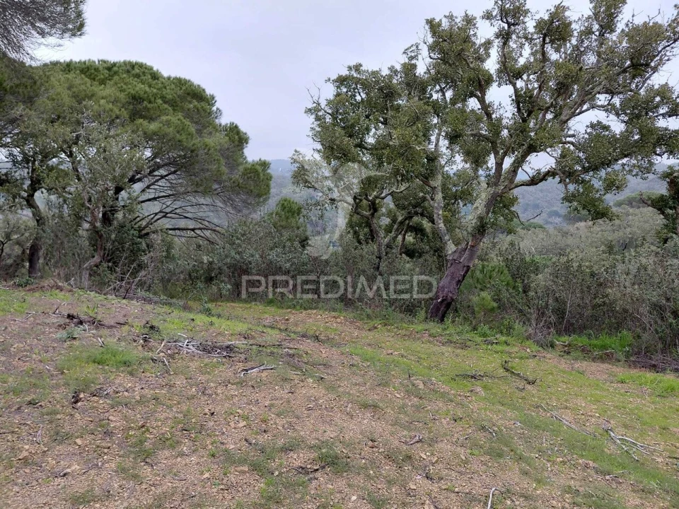 Quinta T2 para Venda em São Francisco da Serra Foto 20