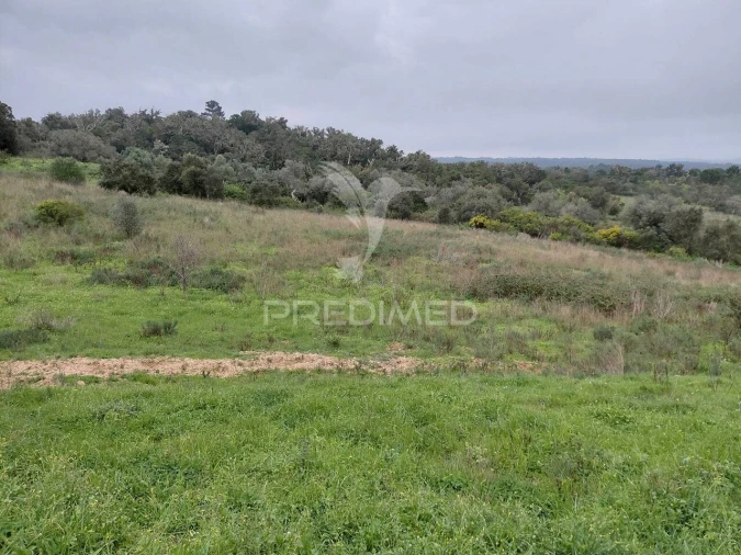 Quinta T2 para Venda em São Francisco da Serra Foto 30