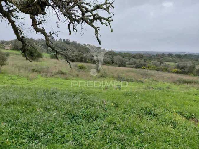 Quinta T2 para Venda em São Francisco da Serra Foto 22