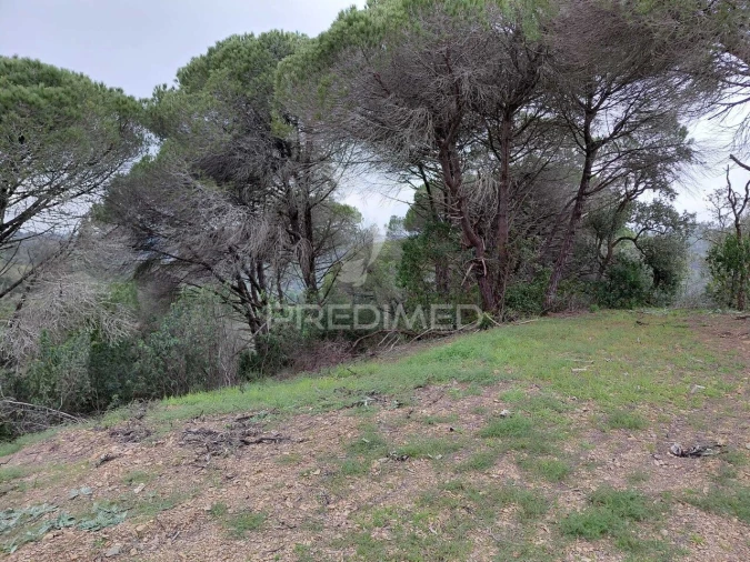 Quinta T2 para Venda em São Francisco da Serra Foto 5