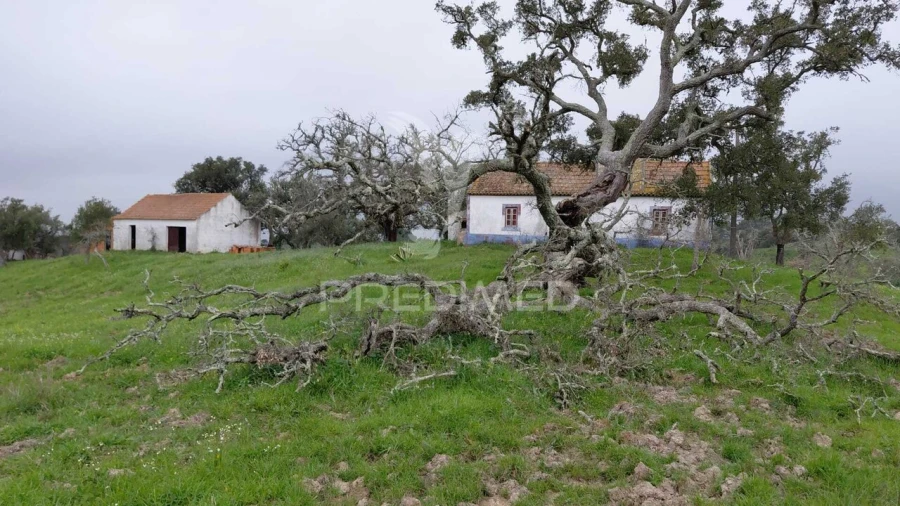 Quinta T2 para Venda em São Francisco da Serra Foto 19