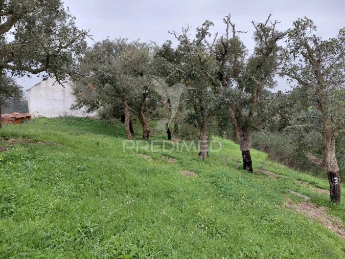 Quinta T2 para Venda em São Francisco da Serra Foto 25