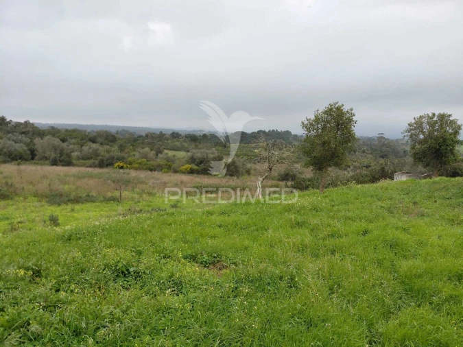 Quinta T2 para Venda em São Francisco da Serra