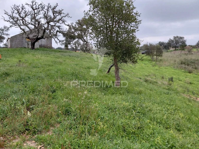 Quinta T2 para Venda em São Francisco da Serra Foto 21