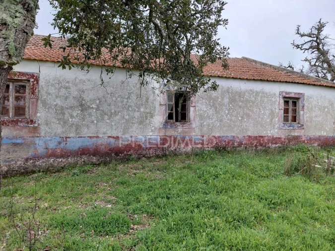 Quinta T2 para Venda em São Francisco da Serra Foto 26