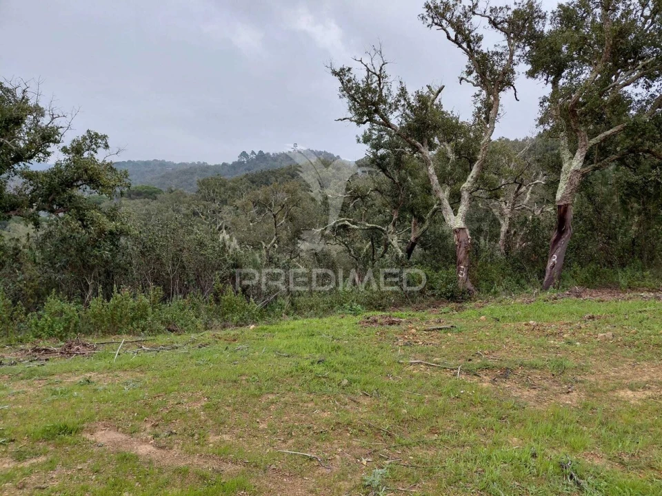 Terreno para Venda em São Francisco da Serra Foto 2