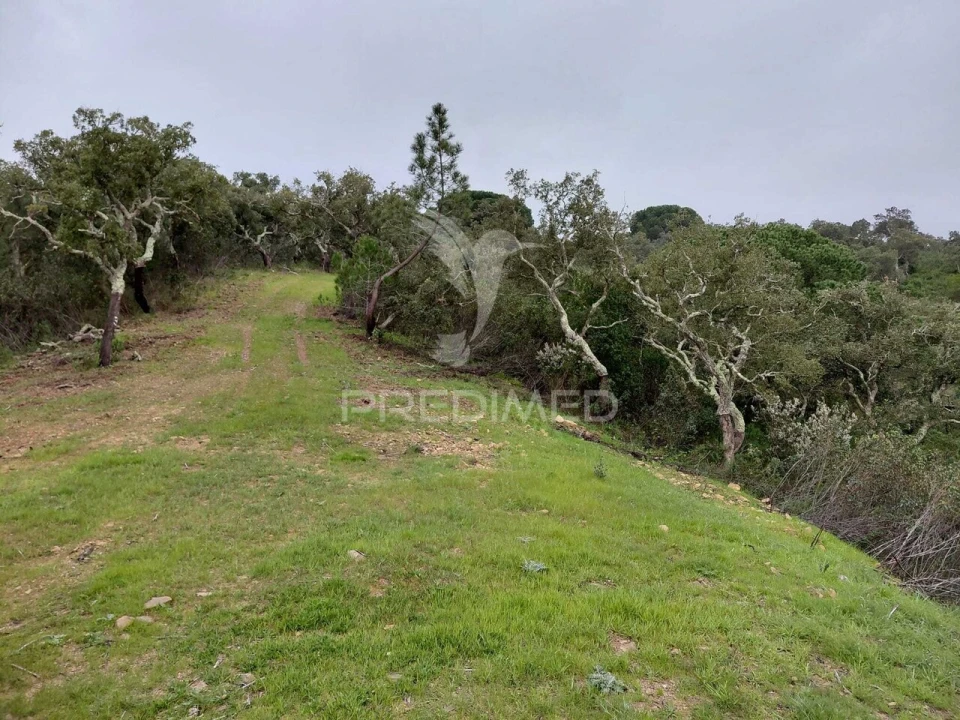 Terreno para Venda em São Francisco da Serra Foto 5