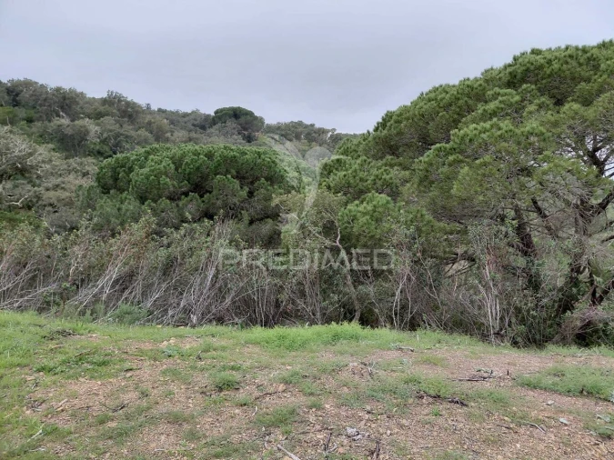 Terreno para Venda em São Francisco da Serra Foto 4