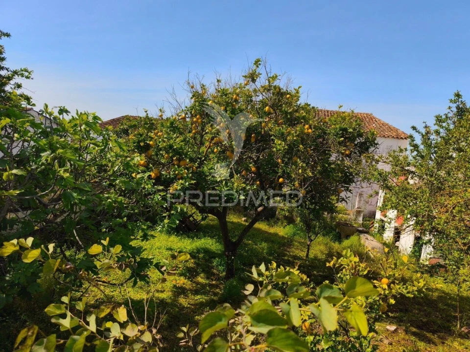 Moradia T5 para Venda em Paderne Foto 2