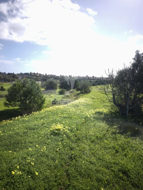 Terreno para Venda em Vila Nova de Cacela