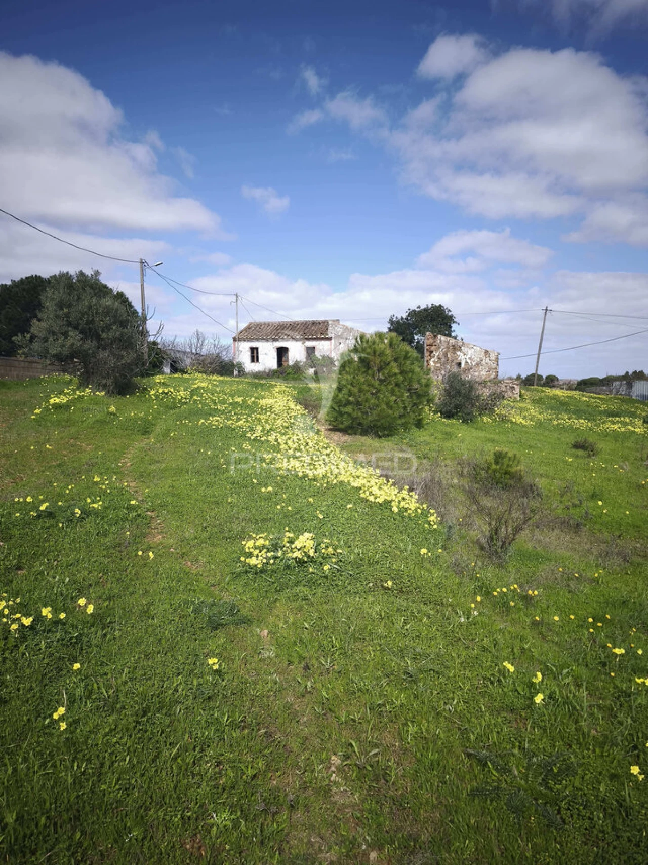 Terreno para Venda em Vila Nova de Cacela Foto 2