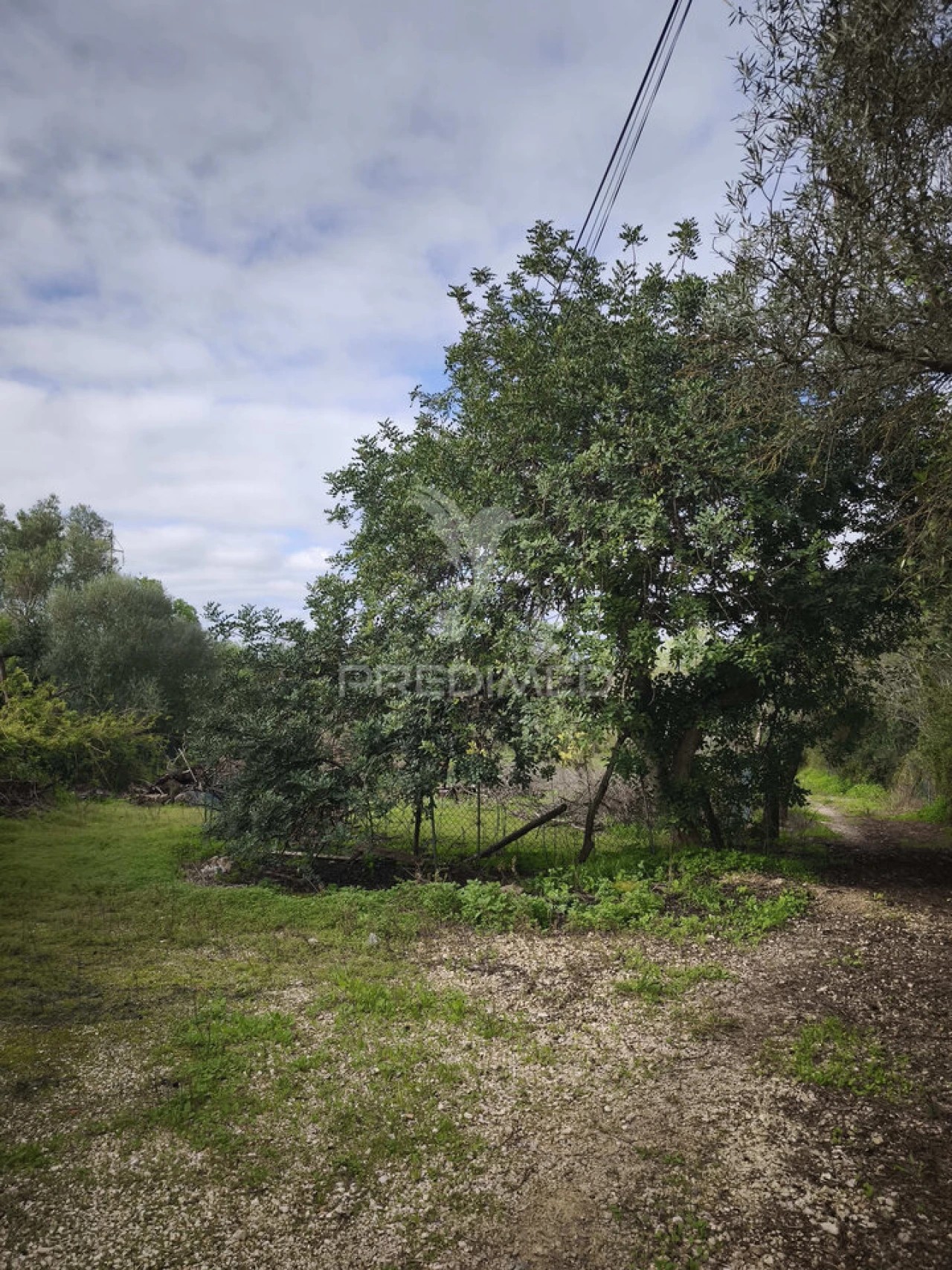 Terreno para Venda em Paderne Foto 1