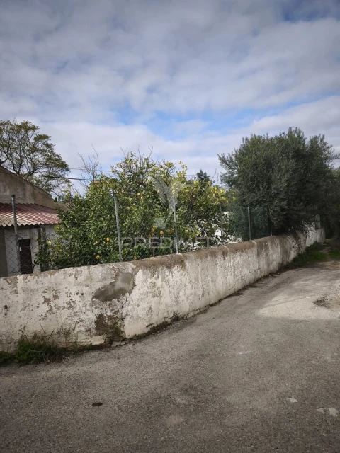 Terreno para Venda em Paderne