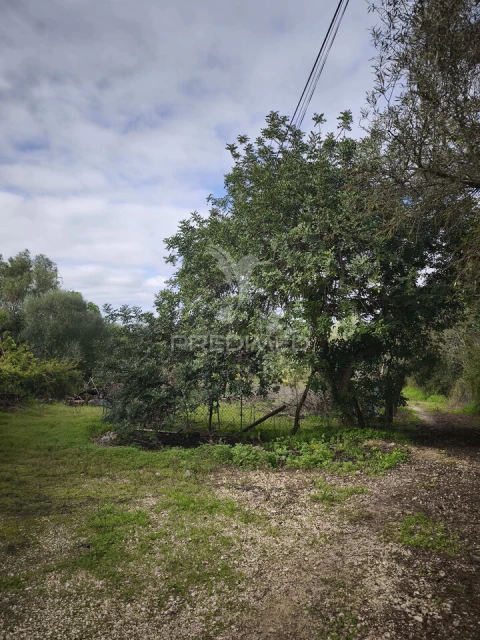Terreno para Venda em Paderne