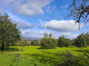 Terreno para Venda em Paderne