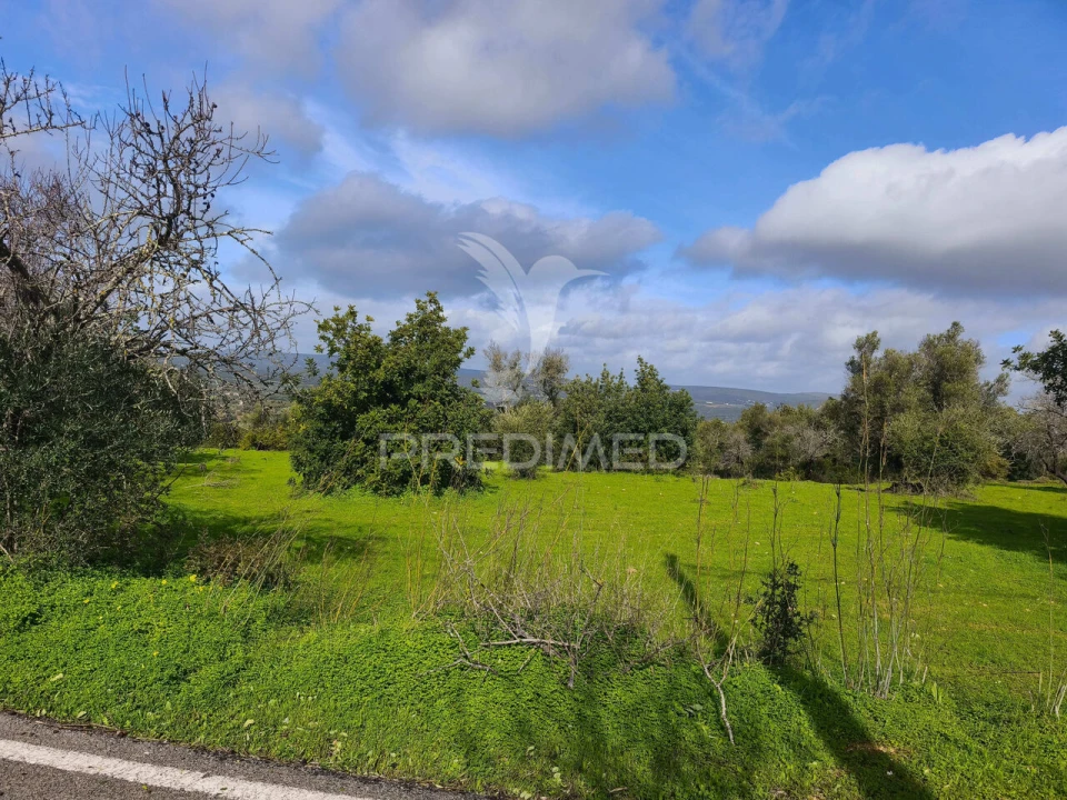 Terreno para Venda em Paderne Foto 3