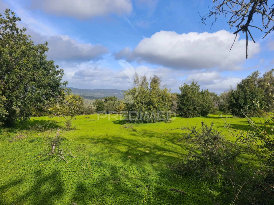 Terreno para Venda em Paderne Foto 4