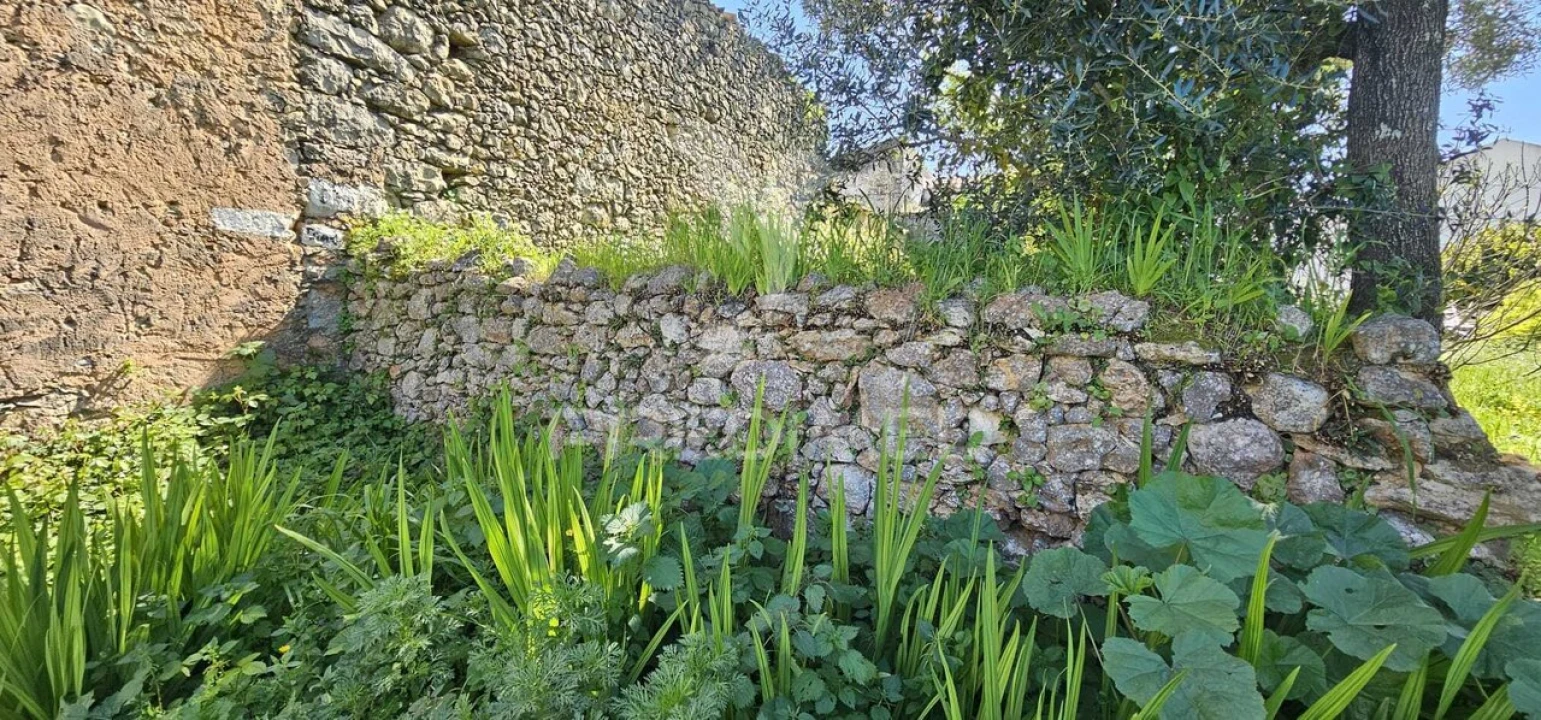 Terreno para Venda em Loule (São Sebastião) Foto 11