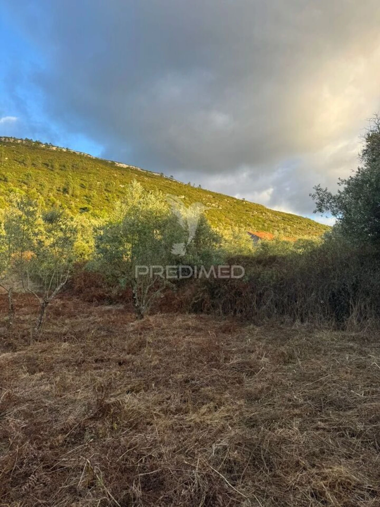 Terreno para Venda em Alqueidão da Serra Foto 12