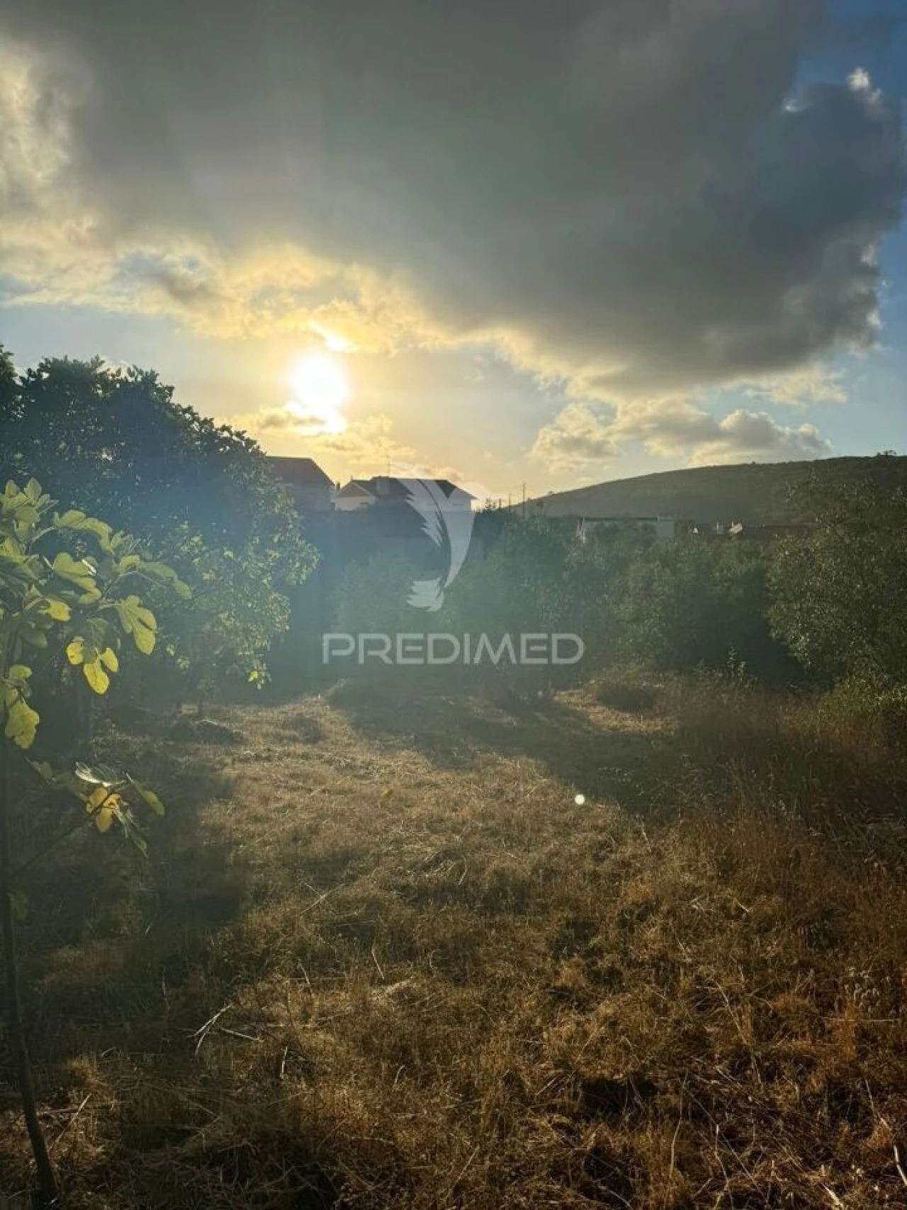 Terreno para Venda em Alqueidão da Serra Foto 17