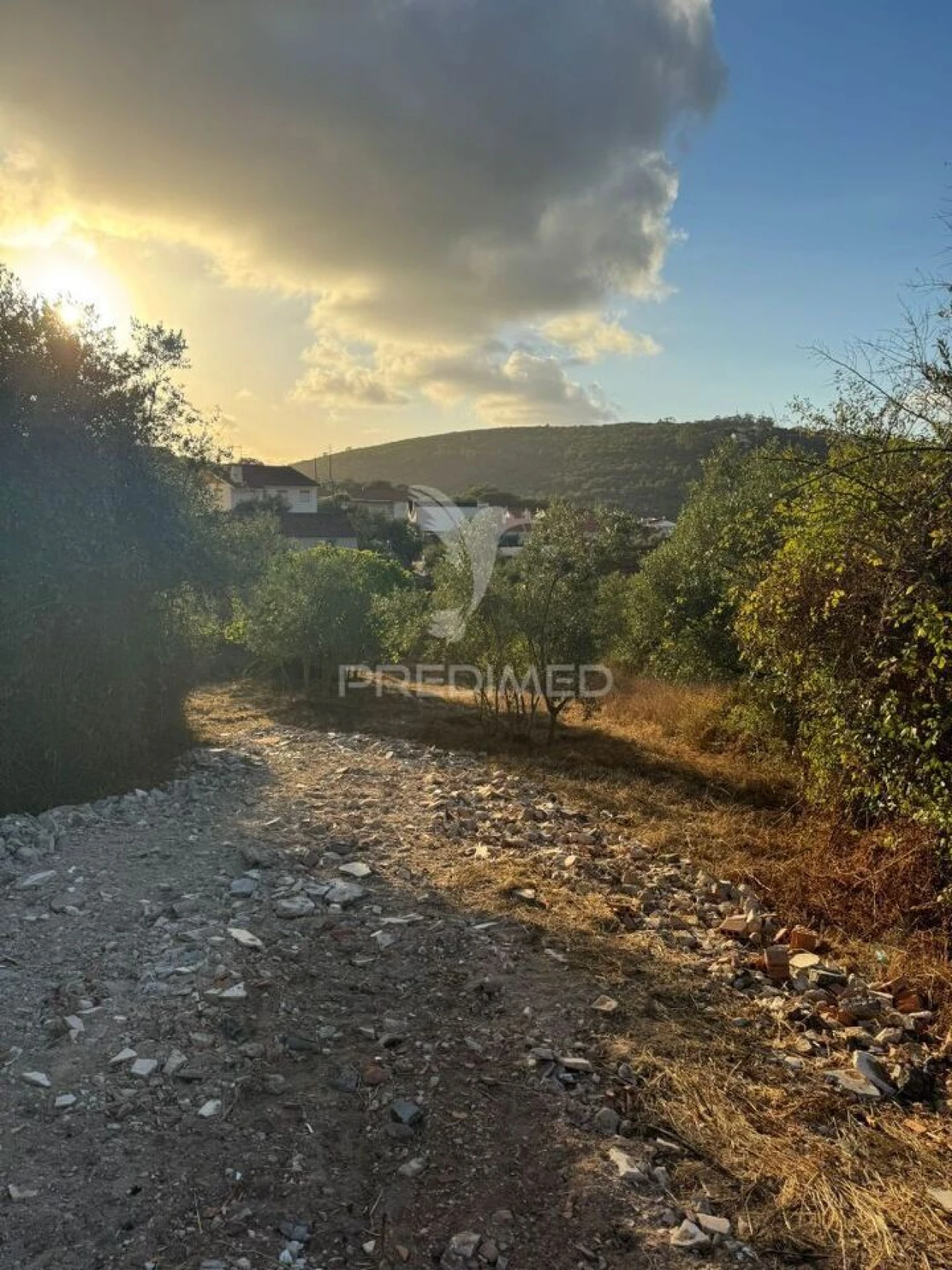 Terreno para Venda em Alqueidão da Serra Foto 22