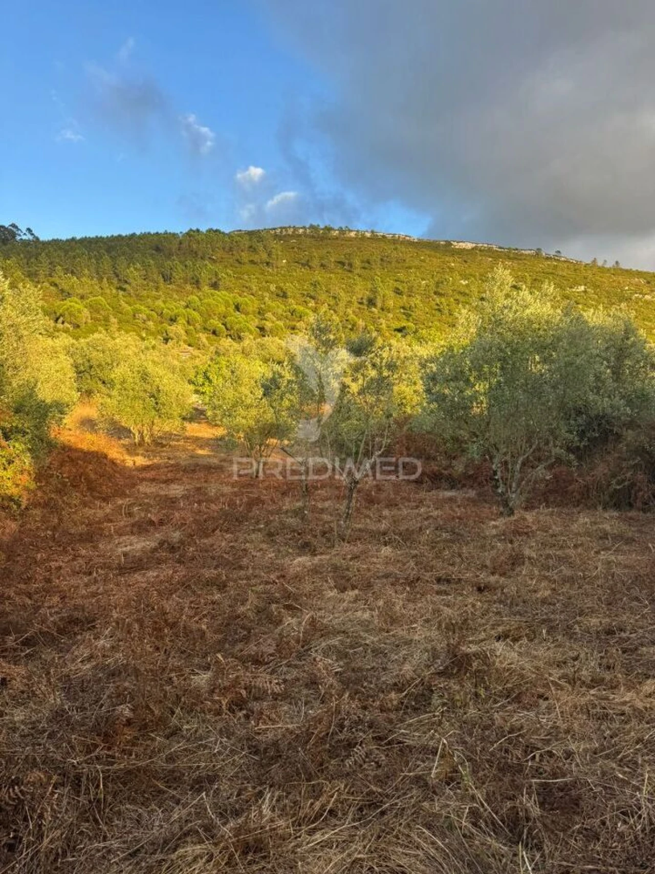 Terreno para Venda em Alqueidão da Serra Foto 8