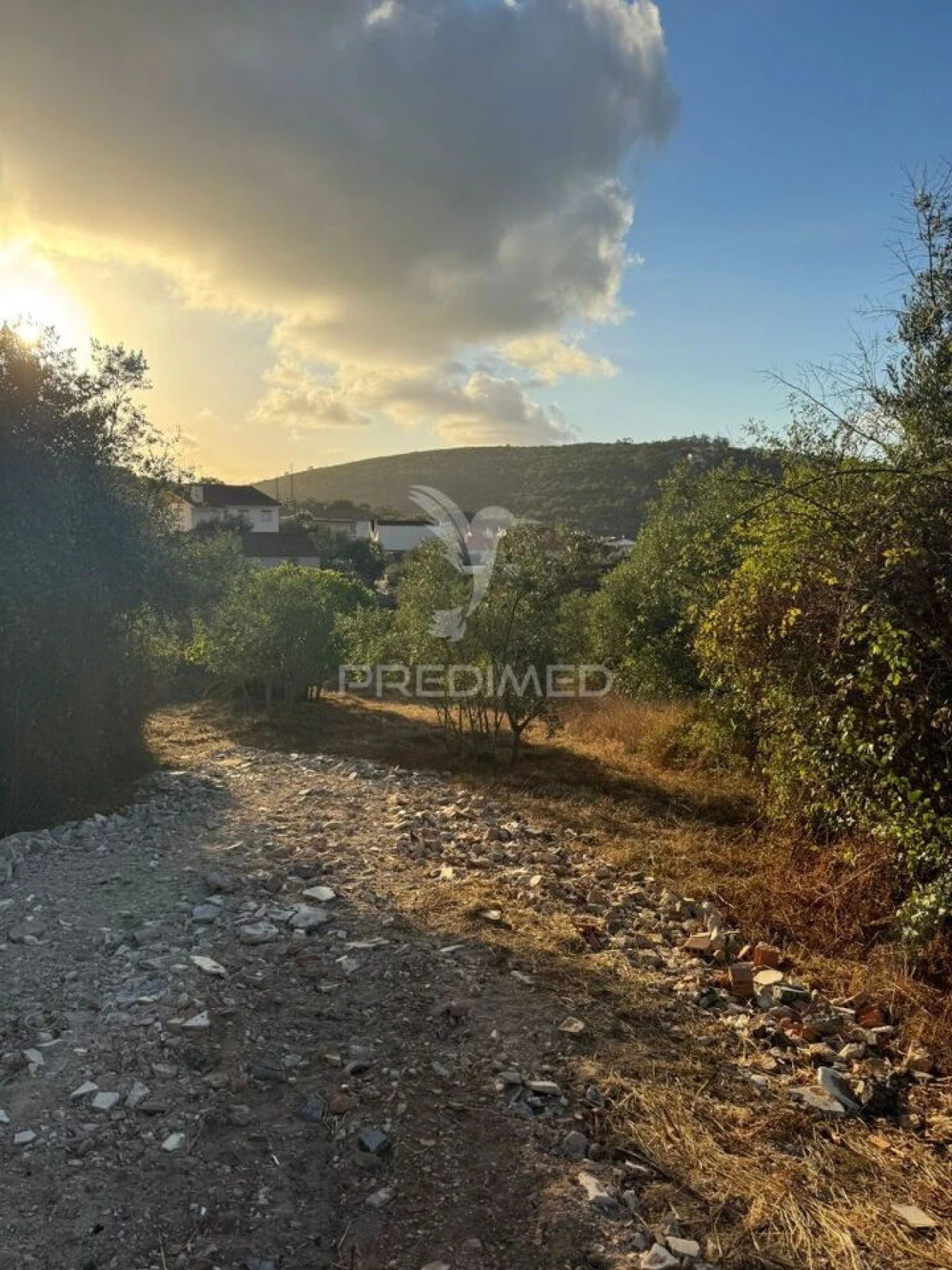 Terreno para Venda em Alqueidão da Serra Foto 23