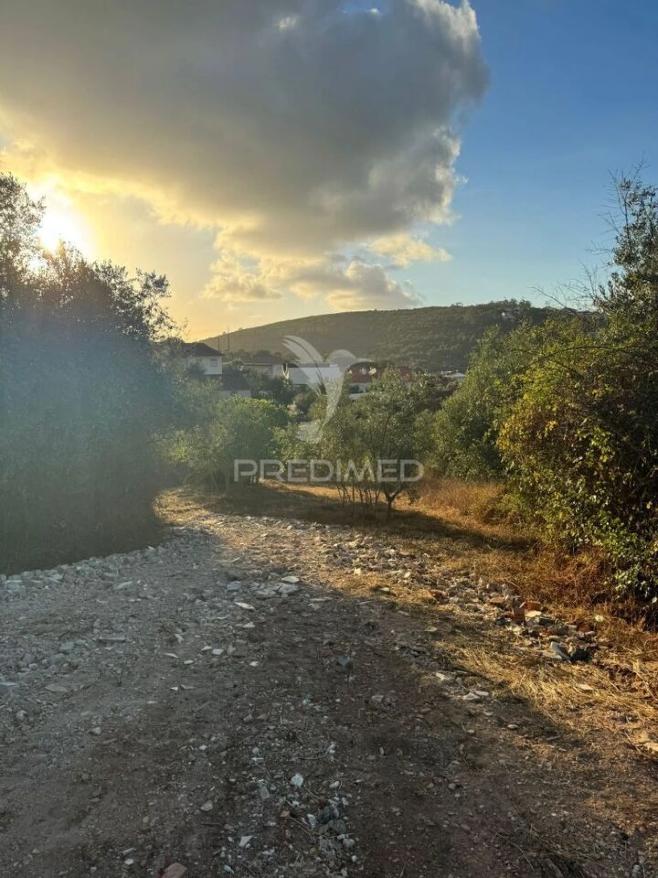 Terreno para Venda em Alqueidão da Serra Foto 21