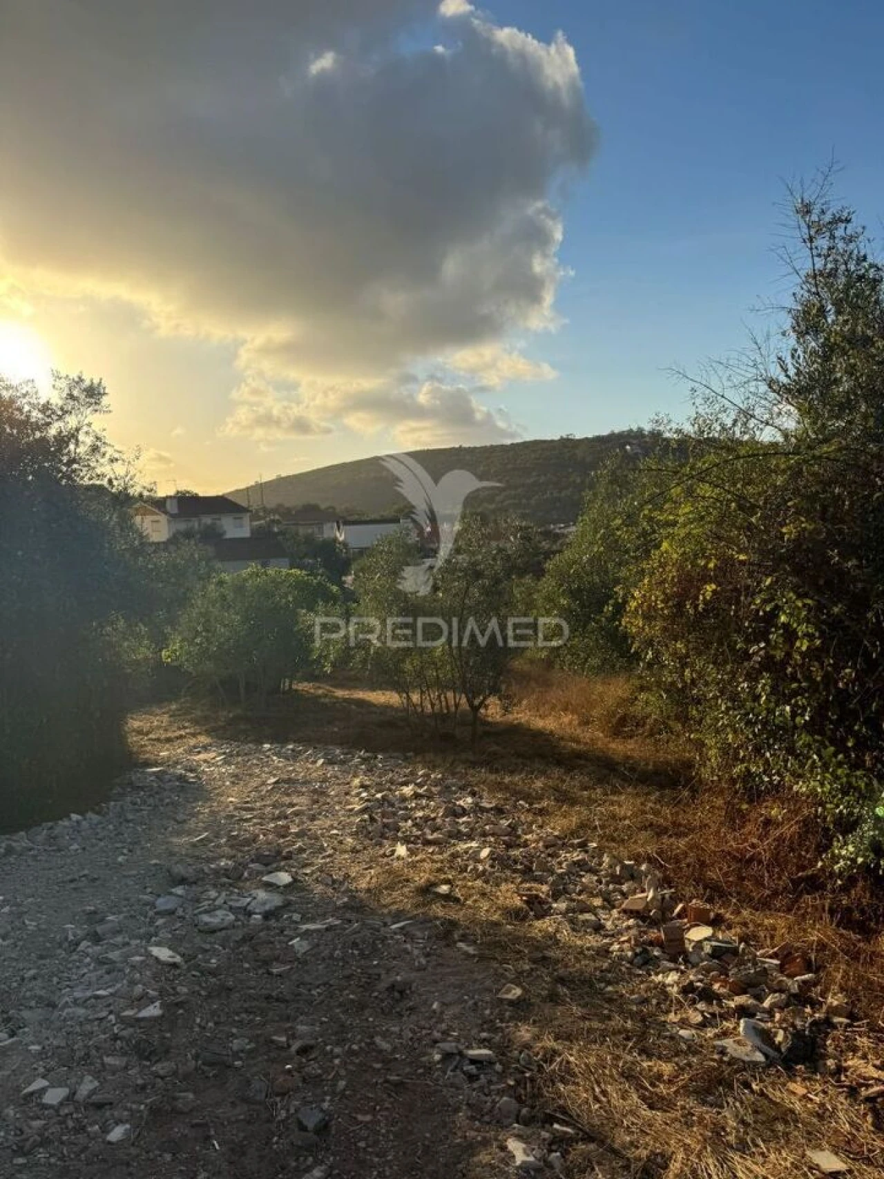 Terreno para Venda em Alqueidão da Serra Foto 24