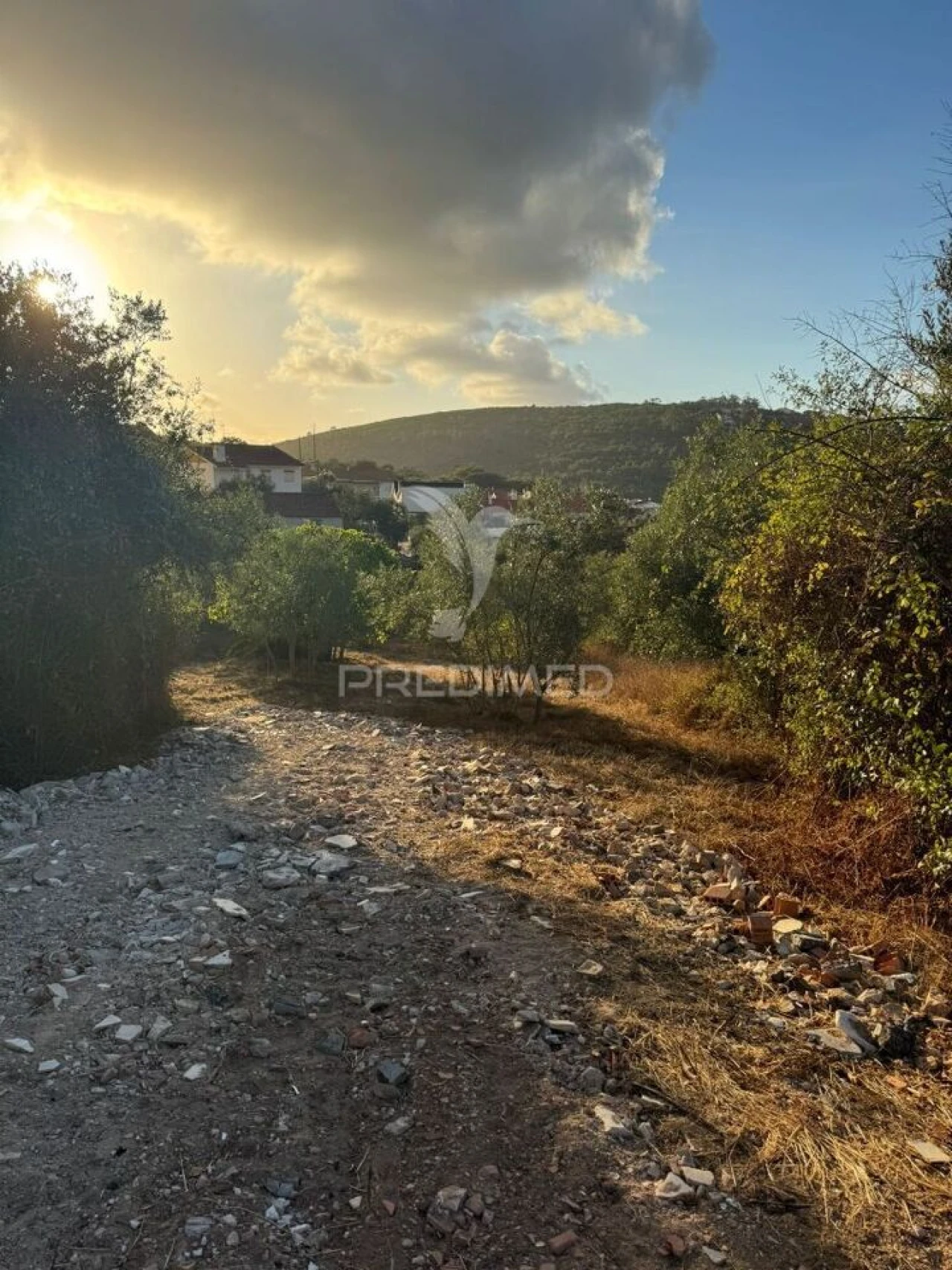 Terreno para Venda em Alqueidão da Serra Foto 25