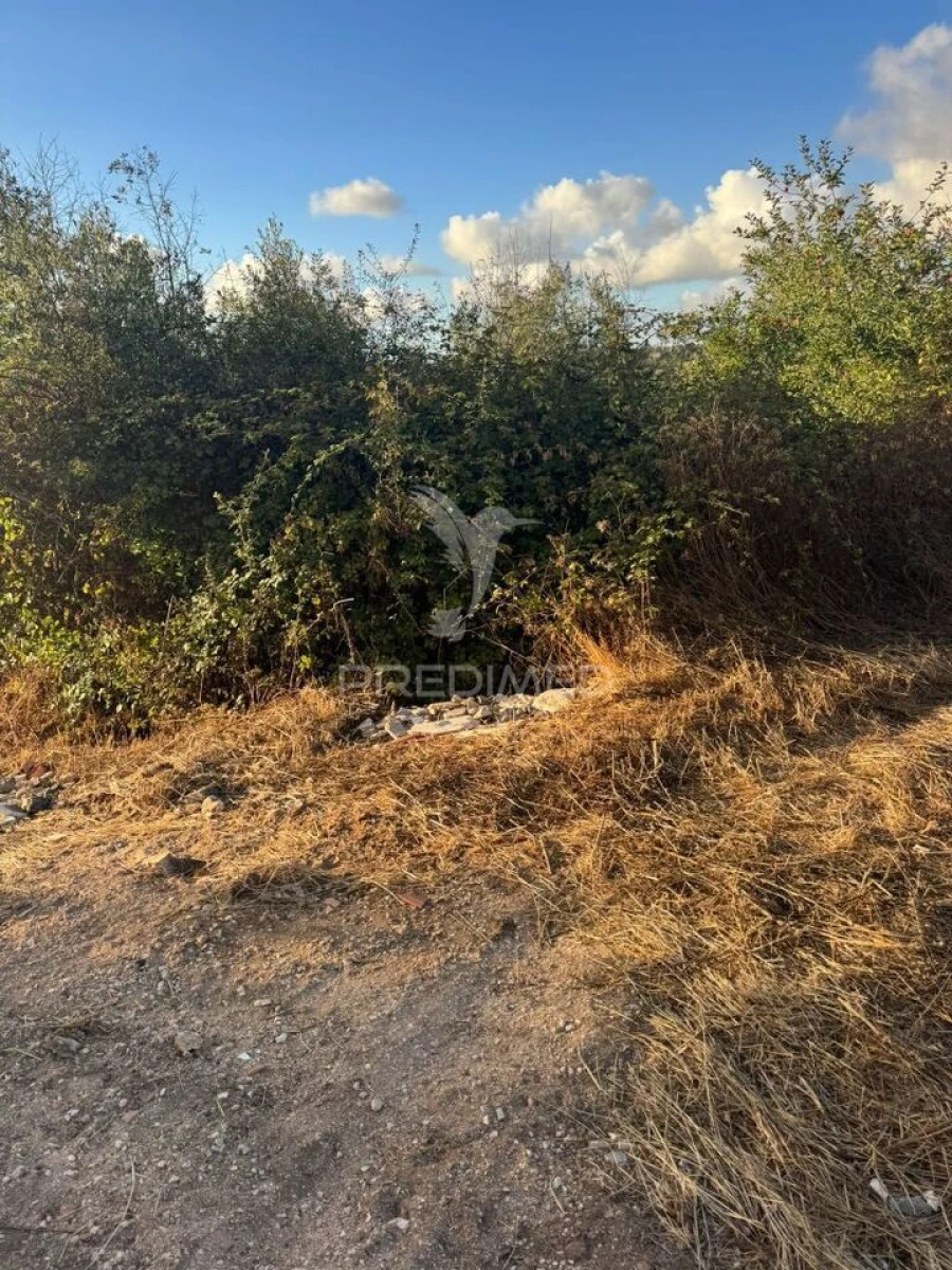Terreno para Venda em Alqueidão da Serra Foto 19