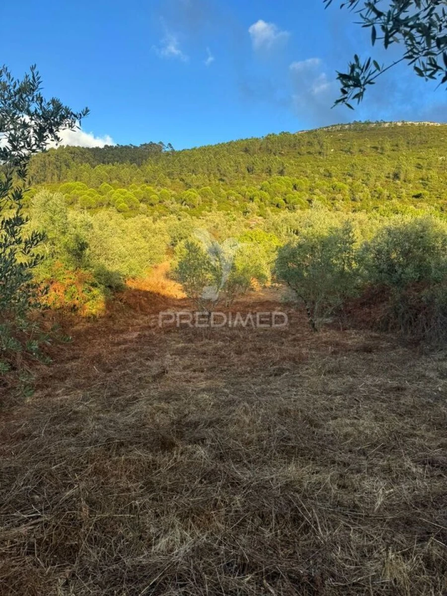 Terreno para Venda em Alqueidão da Serra