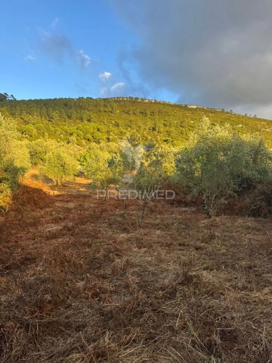Terreno para Venda em Alqueidão da Serra Foto 9